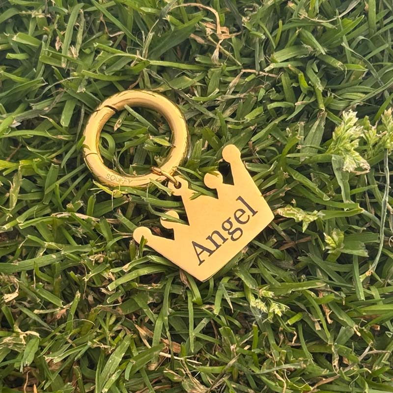 Gegraveerde Kroon Hondenpenning