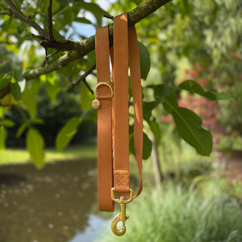 Klassieke Hondenriem Honey Drift Cognac