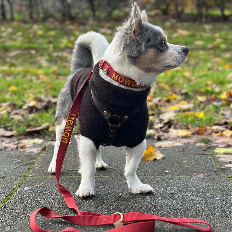 Klassieke Hondenriem Ruby Gale Robijnrood