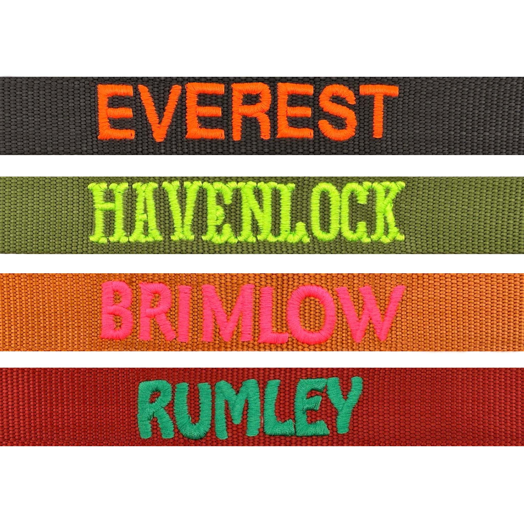 Klassieke Hondenhalsband Raven Illume Zwart