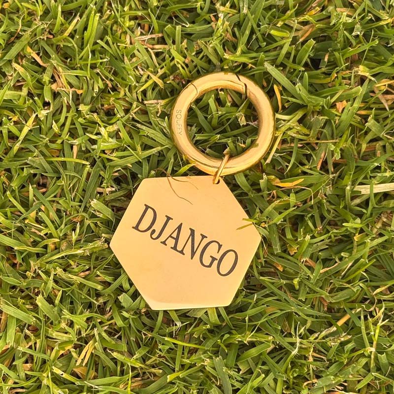 Gegraveerde Zeshoekige Hondenpenning