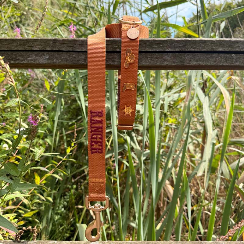 Klassieke Hondenhalsband Honey Drift Cognac