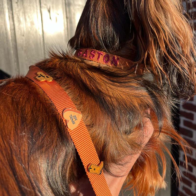 Puppyhalsband Honey Drift Cognac