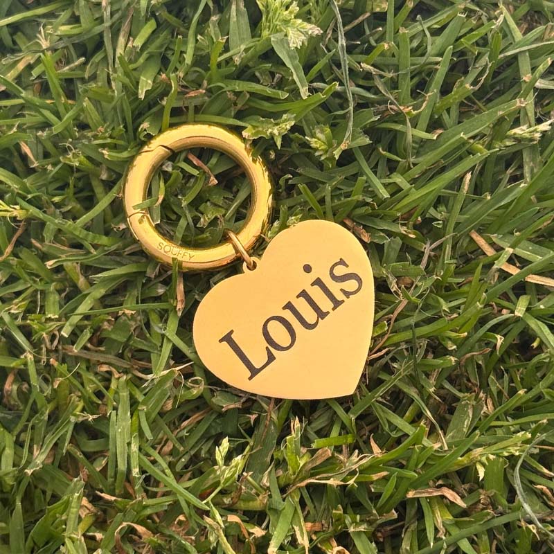 Gegraveerde Hart Hondenpenning