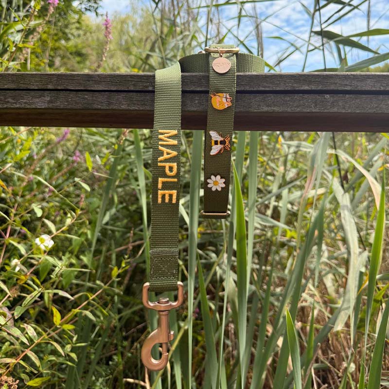 Klassieke Hondenriem Moss Breeze Olijfgroen