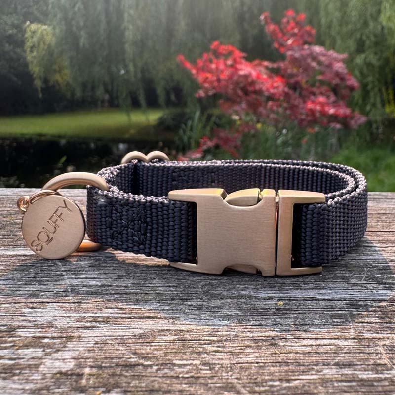 Puppyhalsband Raven Illume Zwart