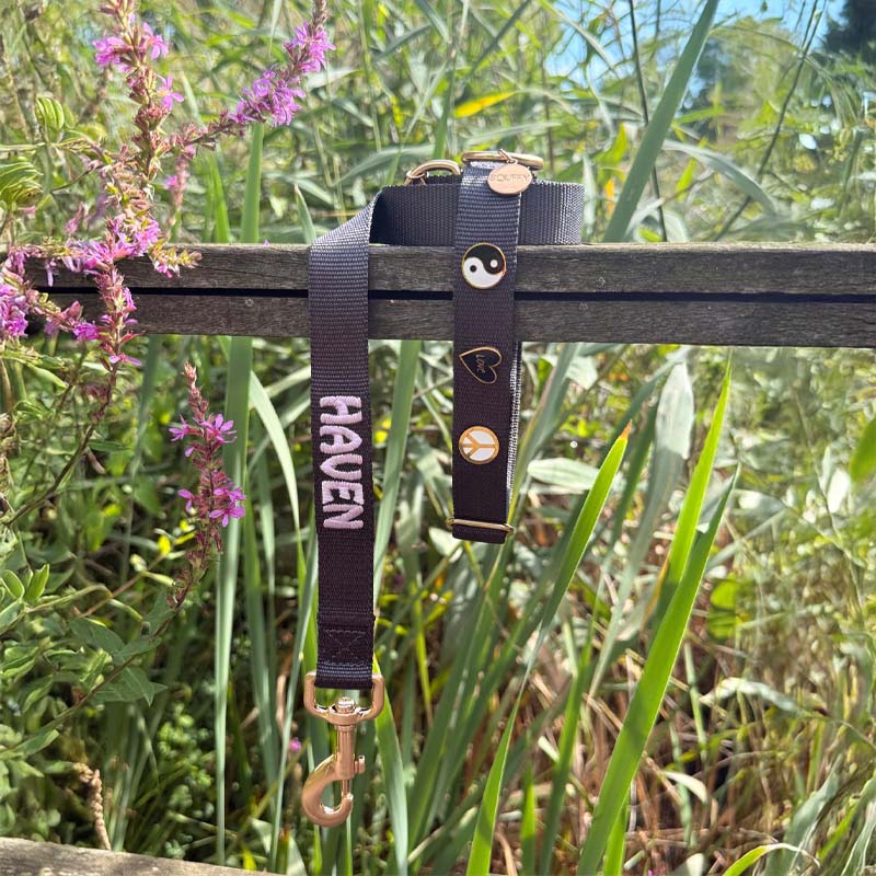 Klassieke Hondenriem Raven Illume Zwart