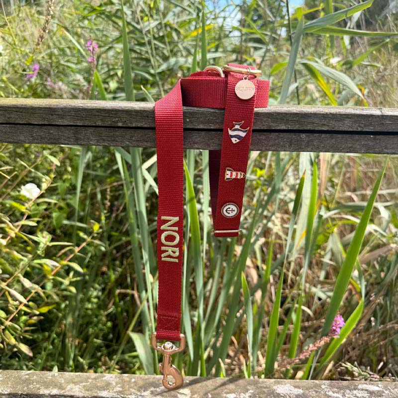 Klassieke Hondenhalsband Ruby Gale Robijnrood