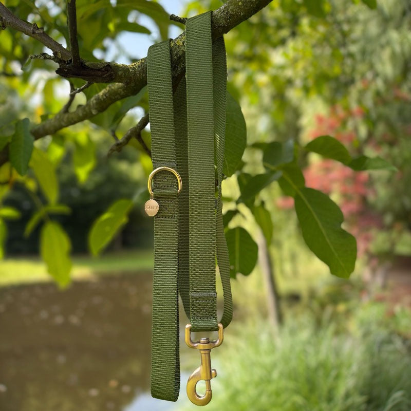 Klassieke Hondenriem Moss Breeze Olijfgroen