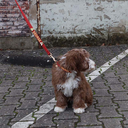 Puppyhalsband Ruby Gale Robijnrood