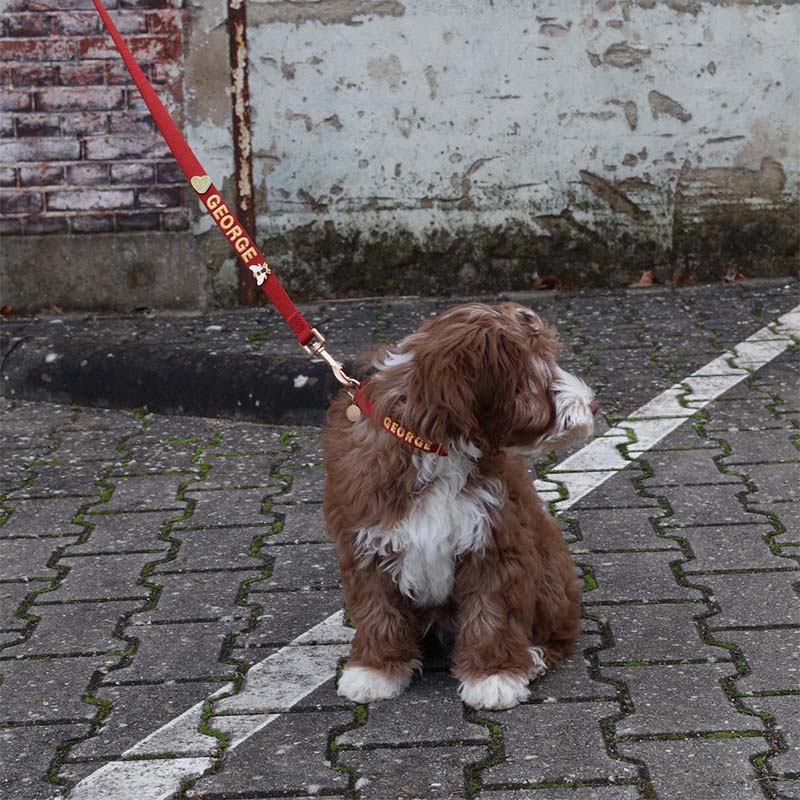 Puppyhalsband Ruby Gale Robijnrood