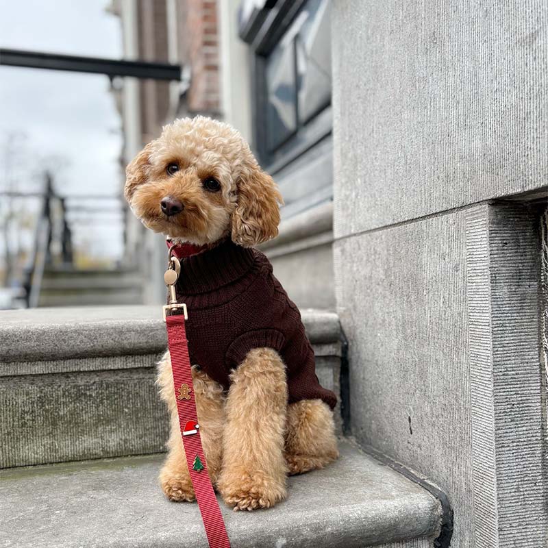 <p>Customer Experiences</p>