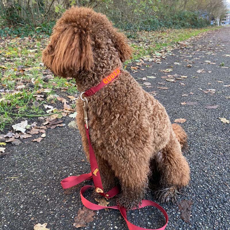 Klassieke Hondenriem Ruby Gale Robijnrood
