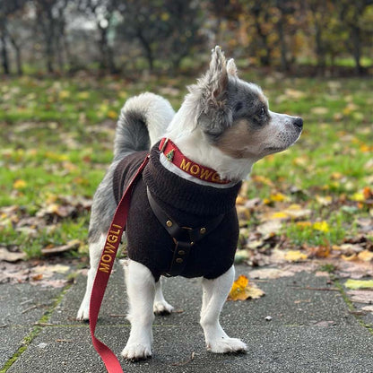 Klassieke Hondenhalsband Ruby Gale Robijnrood