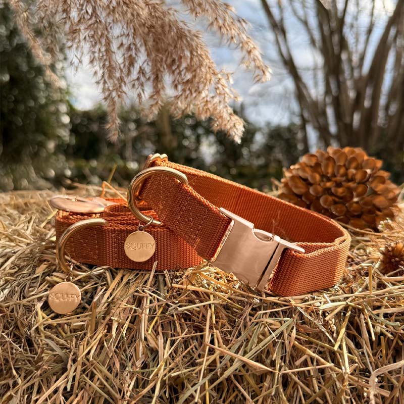 Klassieke Hondenhalsband Honey Drift Cognac
