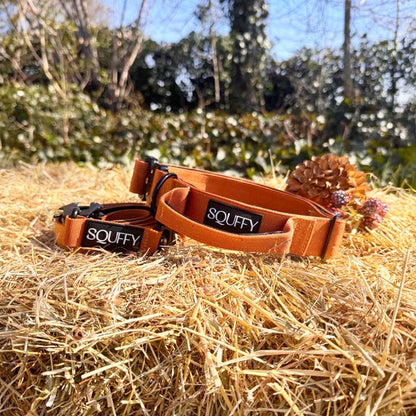Tactische Hondenhalsband Honey Maze Cognac