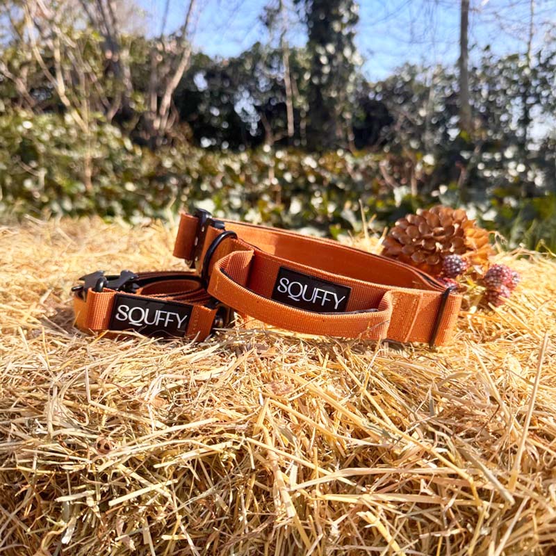 Tactische Hondenhalsband Honey Maze Cognac
