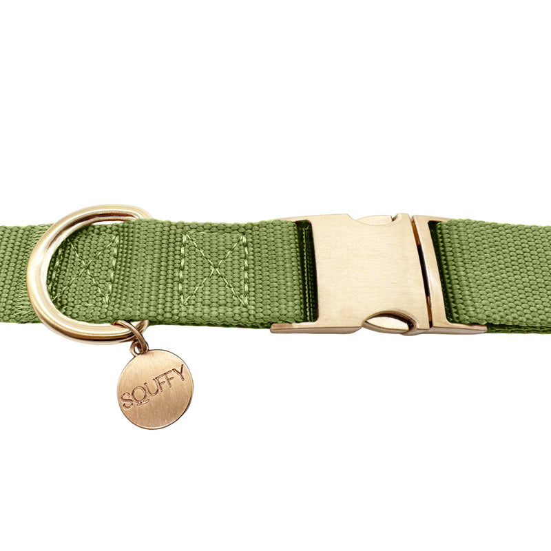 Klassieke Hondenhalsband Moss Breeze Olijfgroen
