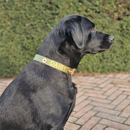 Klassieke Hondenhalsband Moss Breeze Olijfgroen