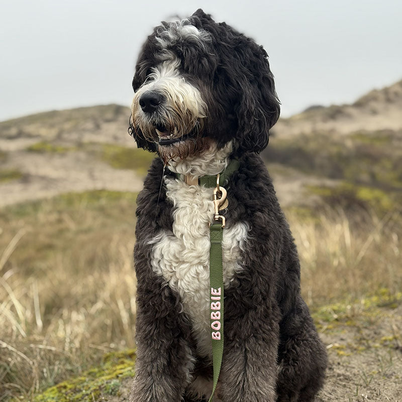 Klassieke Hondenriem Moss Breeze Olijfgroen