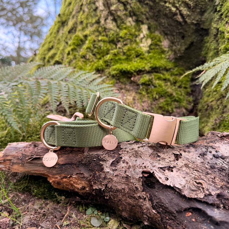 Klassieke Hondenhalsband Moss Breeze Olijfgroen