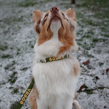 Klassieke Hondenhalsband Moss Breeze Olijfgroen