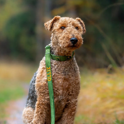 Klassieke Hondenhalsband Moss Breeze Olijfgroen