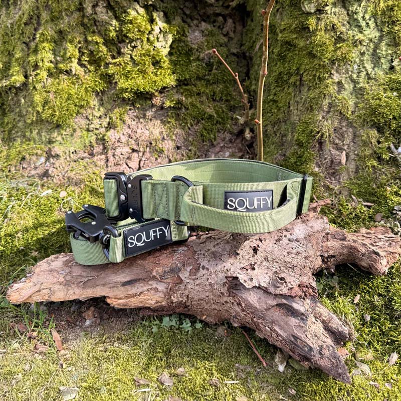 Tactische Hondenhalsband Moss Forge Olijfgroen