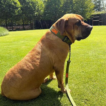 Tactische Hondenhalsband Moss Forge Olijfgroen