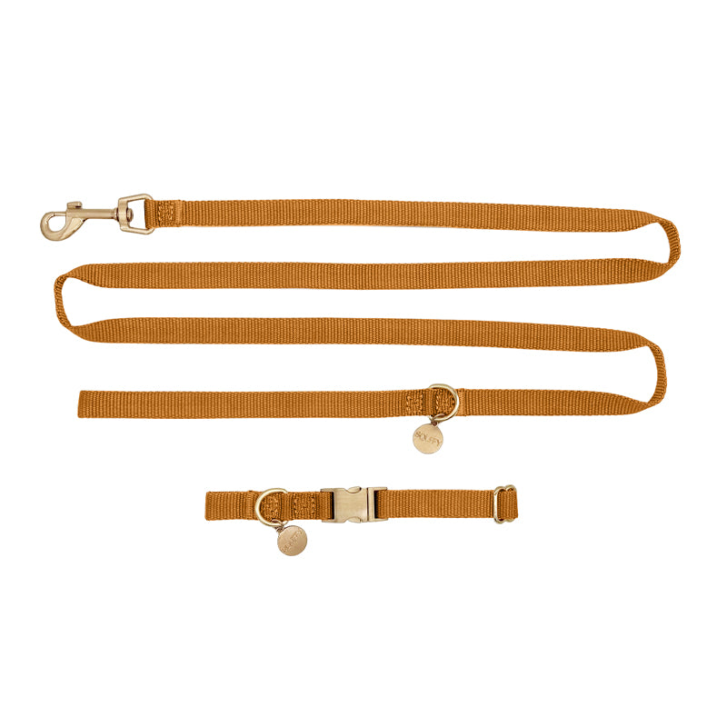 Puppyhalsband Honey Drift Cognac