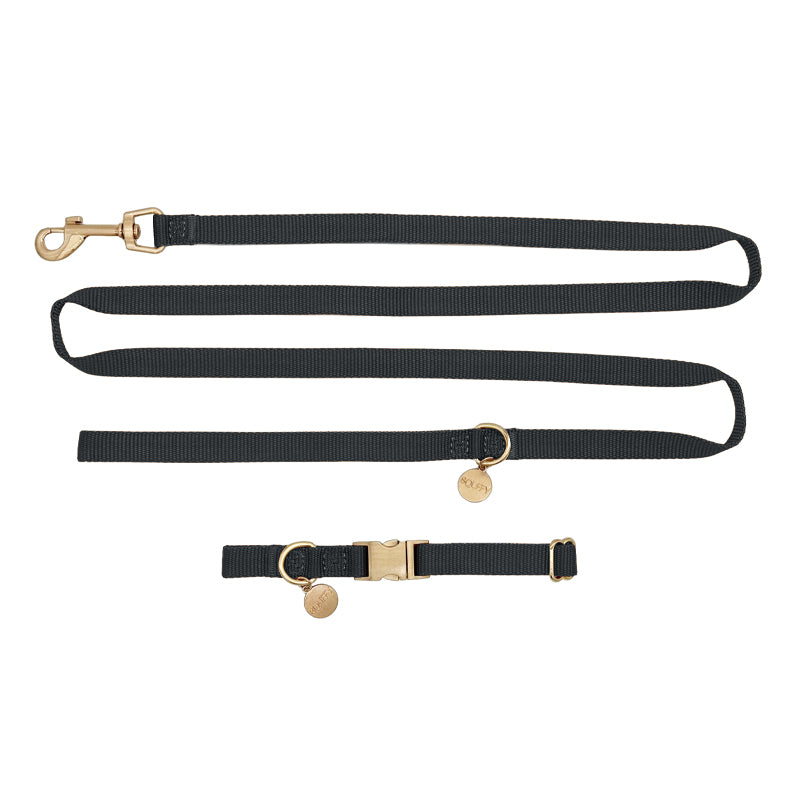 Puppyhalsband Raven Illume Zwart