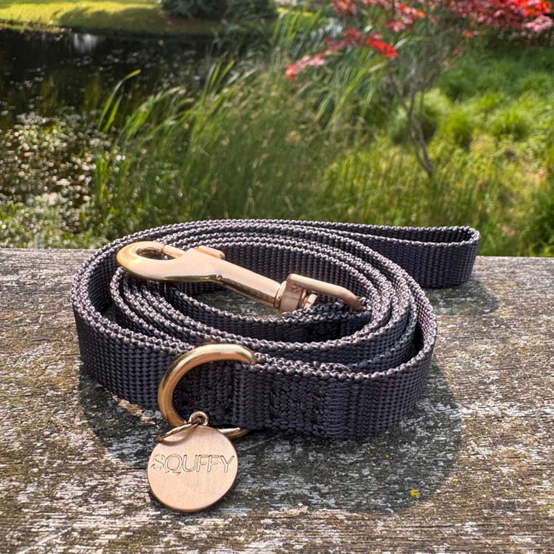 Puppyriem Raven Illume Zwart