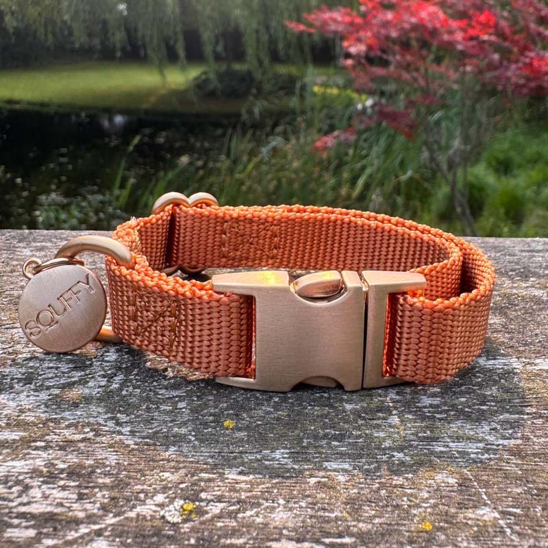 Puppyhalsband Honey Drift Cognac
