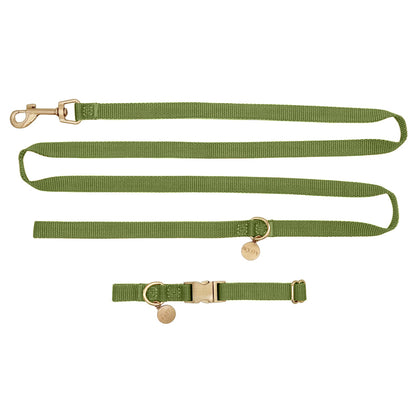 Puppyhalsband Moss Breeze Olijfgroen