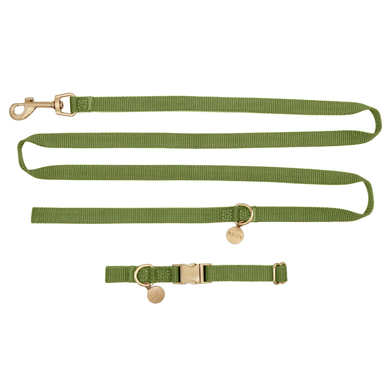Puppyhalsband Moss Breeze Olijfgroen