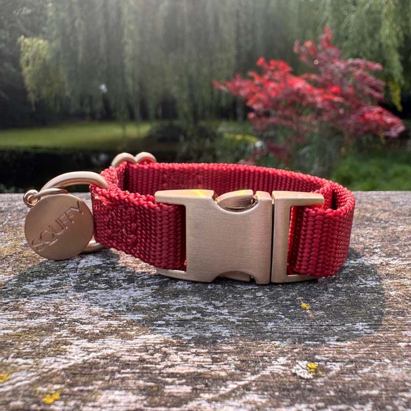 Puppyhalsband Ruby Gale Robijnrood