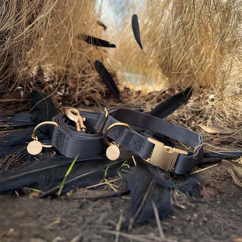 Klassieke Hondenhalsband Raven Illume Zwart