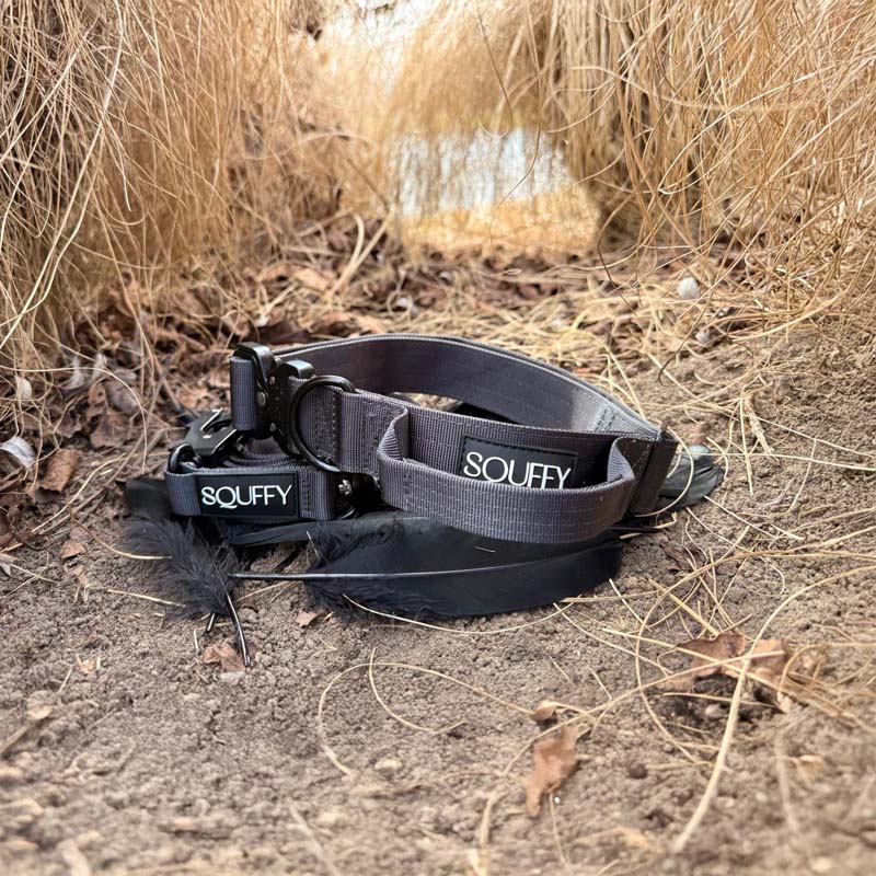 Tactische Hondenhalsband Raven Vex Zwart