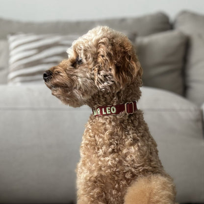 Puppyhalsband Ruby Gale Robijnrood