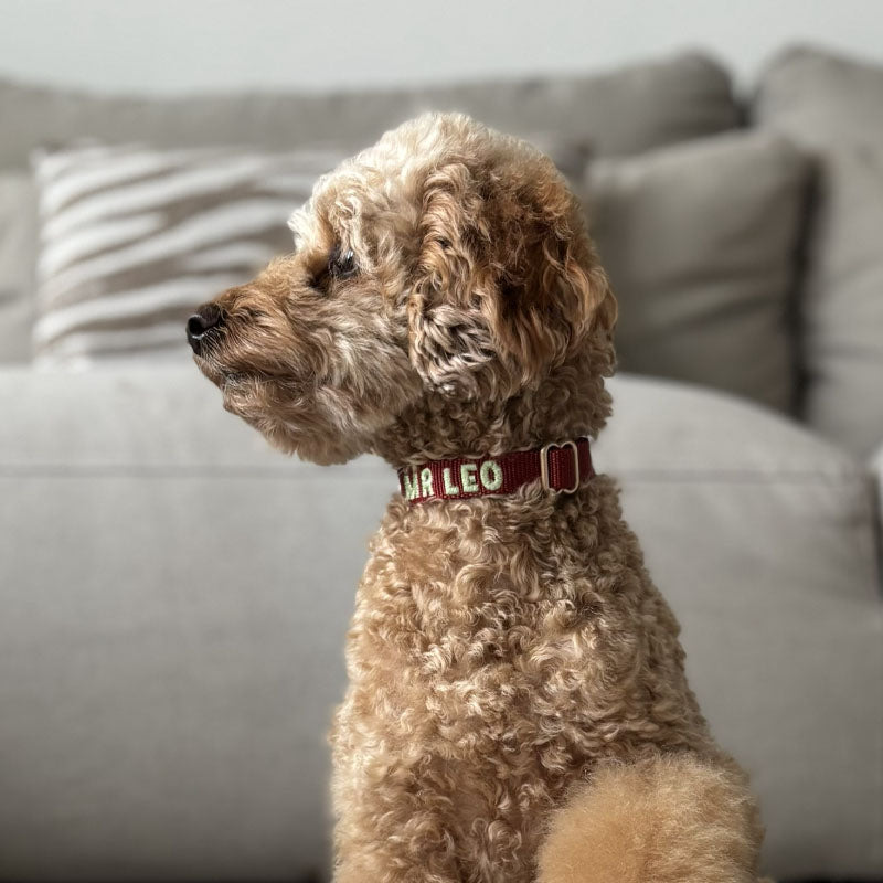 Puppyhalsband Ruby Gale Robijnrood