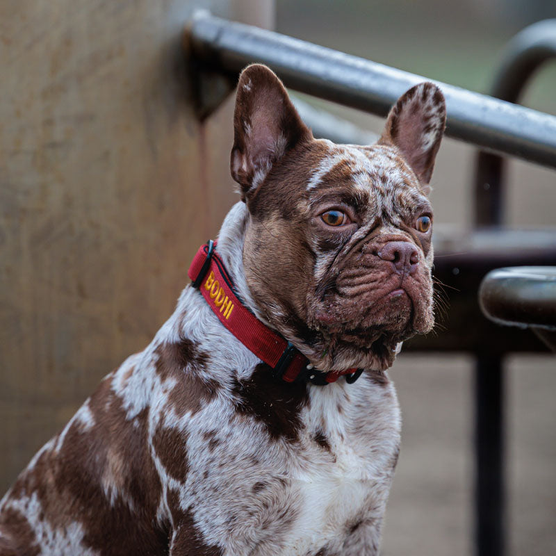 <p>Customer Experiences</p>