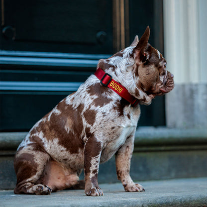Tactische Hondenhalsband Ruby Vandal  Robijnrood