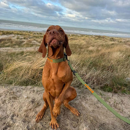 Tactische Hondenriem Moss Forge Olijfgroen