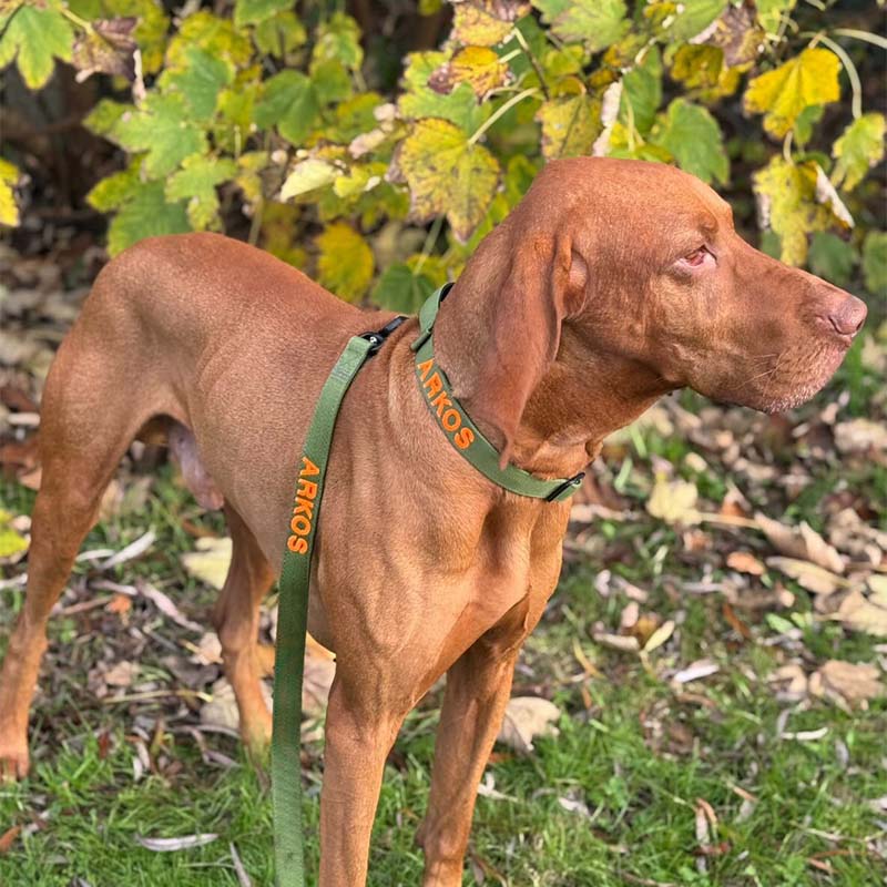 Tactische Hondenriem Moss Forge Olijfgroen