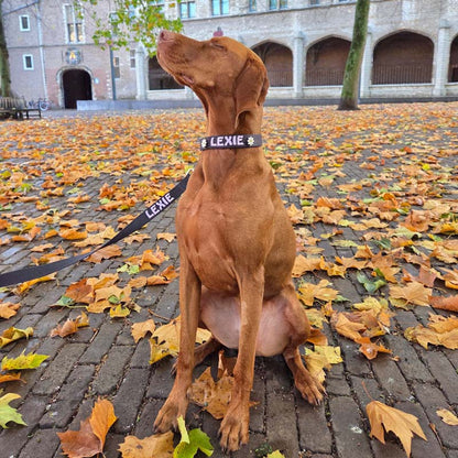 Klassieke Hondenriem Raven Illume Zwart